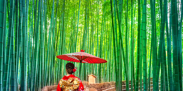 Princess Cruises in Japan