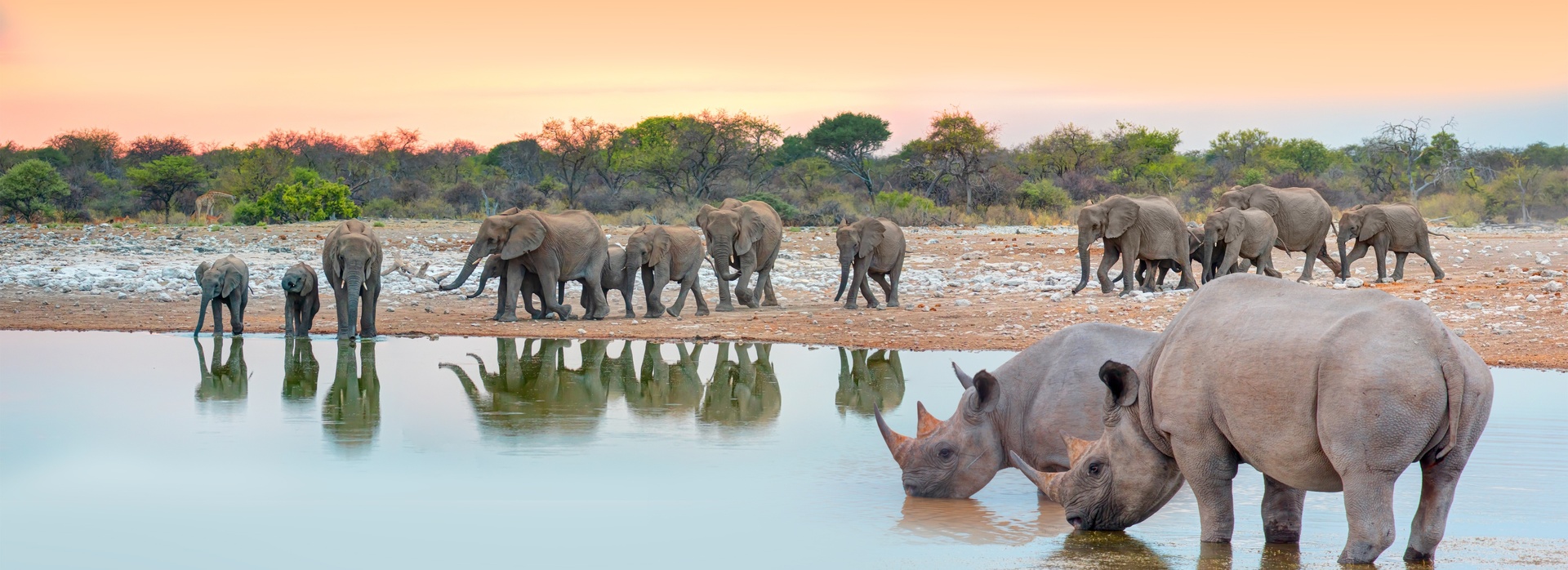 Hero Authentic South Africa